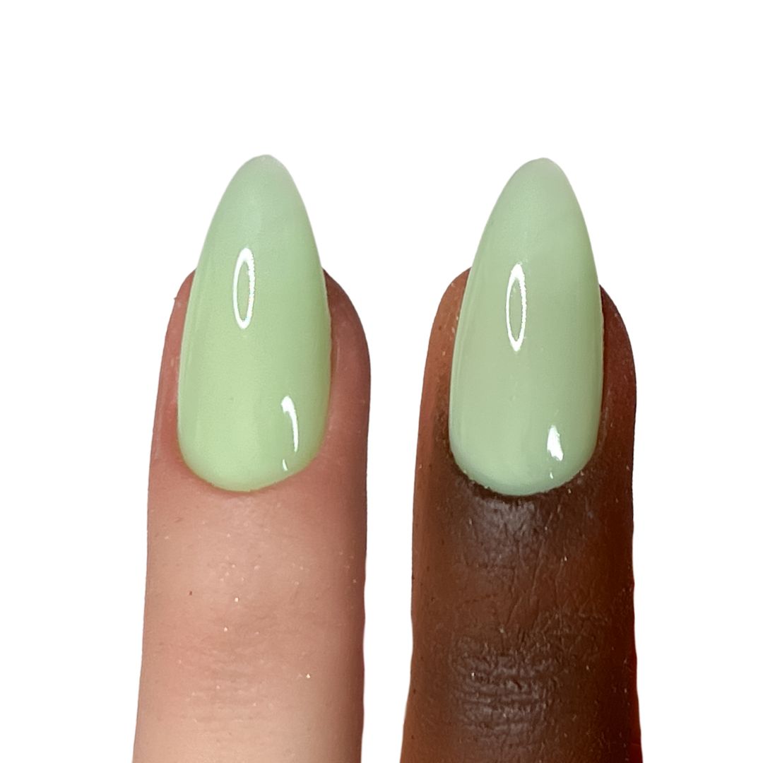 Cactus Gelly Base - Succulent n. 653